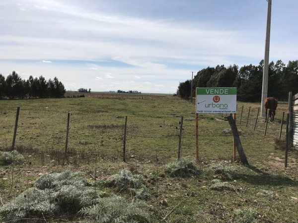 Lote Ruta 228 (Loma de Campano)