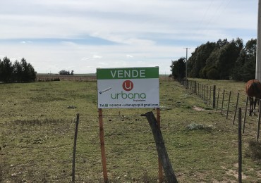 Lote Ruta 228 (Loma de Campano)